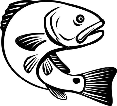 clipart red fish|redfish clip art black and white.